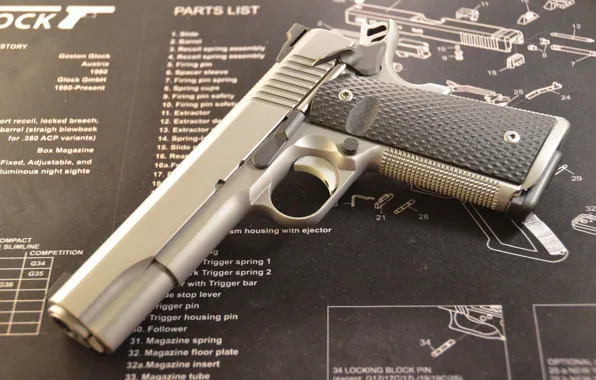Picture gun, weapons, Ruger, semi-automatic, SR1911