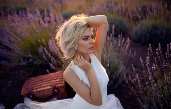 Field, the sun, model, portrait, makeup, dress, hairstyle, blonde