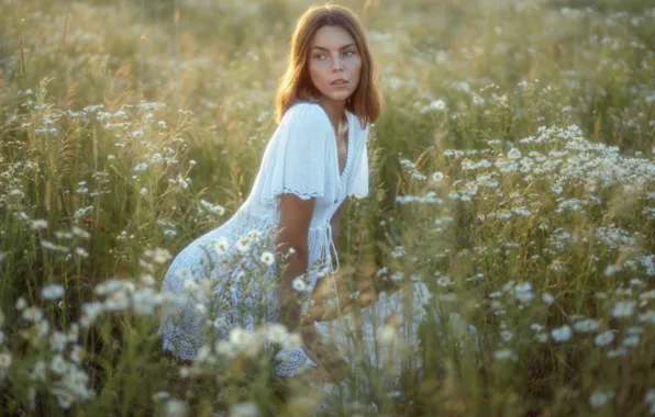 Summer, girl, flowers, pose, chamomile, dress, meadow, Serge Zhodik