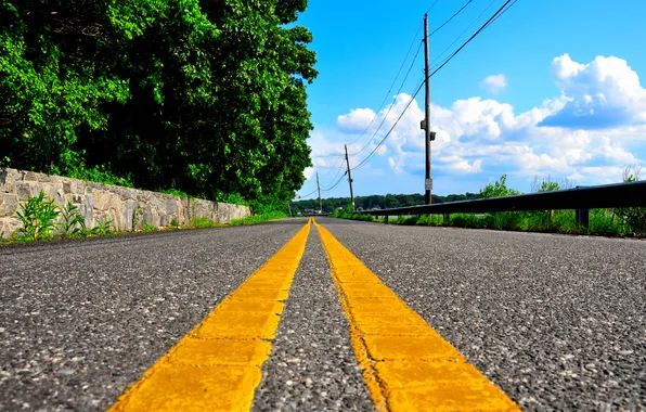 Road, trees, yellow, strip, street