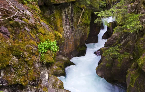 Picture river, rocks, Bush, waterfall, stream