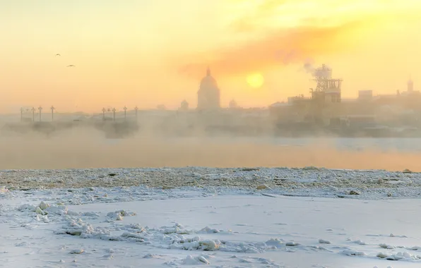 Winter, frost, Saint Petersburg