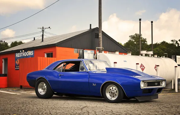 Picture blue, Chevrolet, Chevrolet, muscle car, camaro, Camaro, dragster