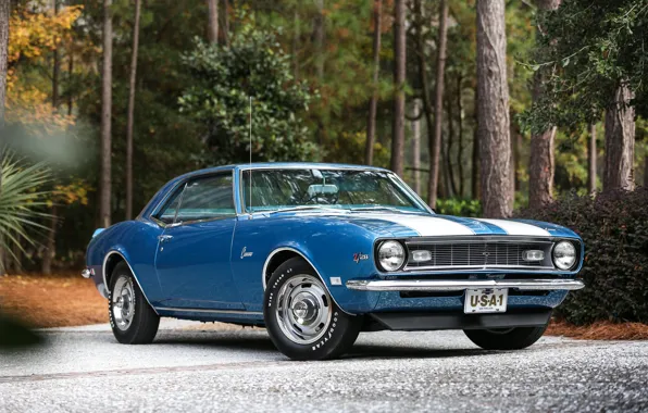 Chevrolet, Camaro, Blue, 1968, z28, Classicб whiteб stripes