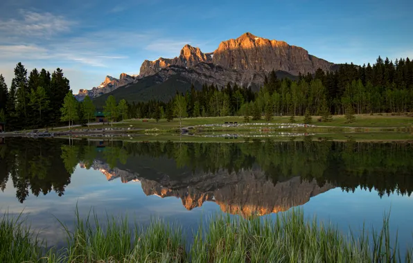 Picture forest, summer, the sky, light, mountains, reflection, blue, rocks