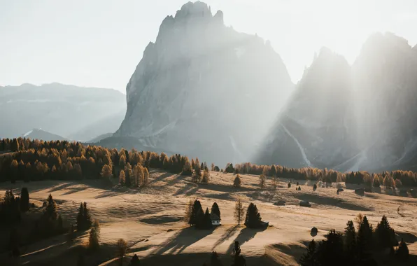 Sand, the sun, rays, trees, mountains, dawn, morning
