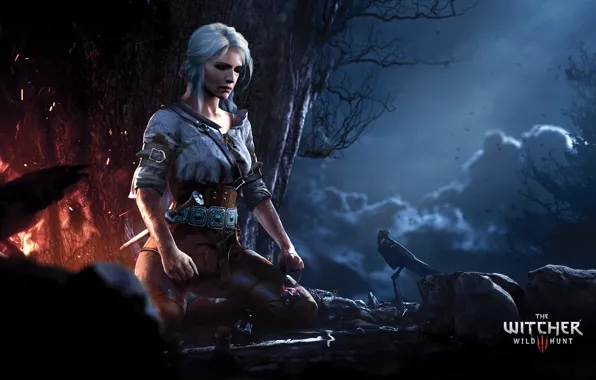 Picture forest, girl, night, fire, meditation, The Witcher, Ciri, cirilla