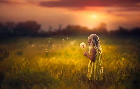 GRASS, HORIZON, The SKY, FIELD, GREENS, GIRL, SUNSET, DANDELION