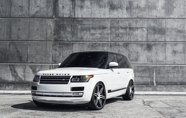 Picture white, reflection, white, Blik, land rover, range rover, the front, glass