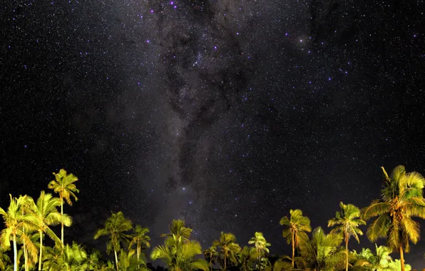 Picture stars, night, palm trees, the milky way