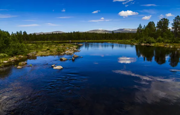 The sky, trees, mountains, reflection, river, stones in water