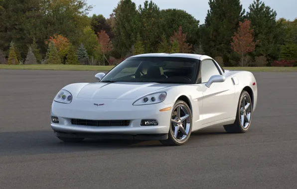 Picture Corvette, Chevrolet, 2013