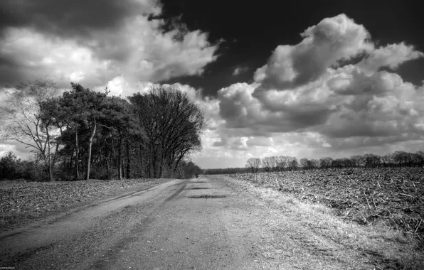 Black and white, Clouds, Field, Road