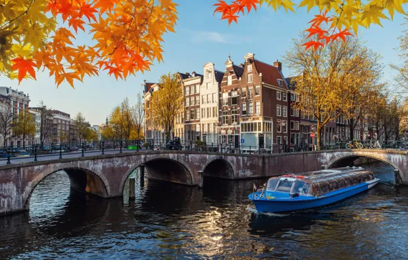 Picture autumn, leaves, branches, bridge, the city, boat, building, Amsterdam