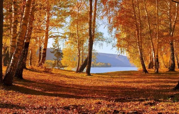 Autumn, forest, the sky, trees, landscape, mountains, nature, lake