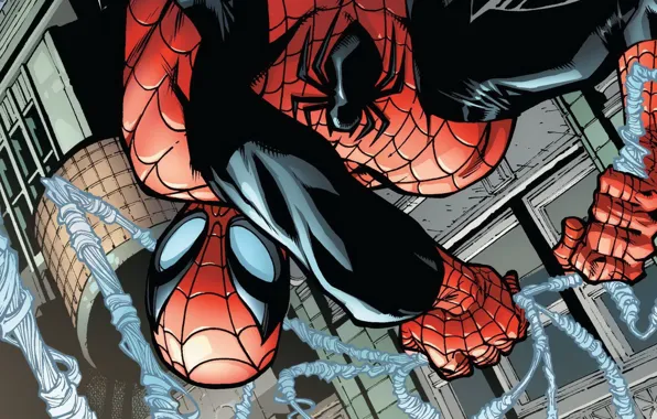 Web, Costume, Hero, Mask, Comic, Superhero, Hero, Web