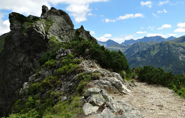 The sky, clouds, landscape, mountains, nature, rocks, plants, horizon