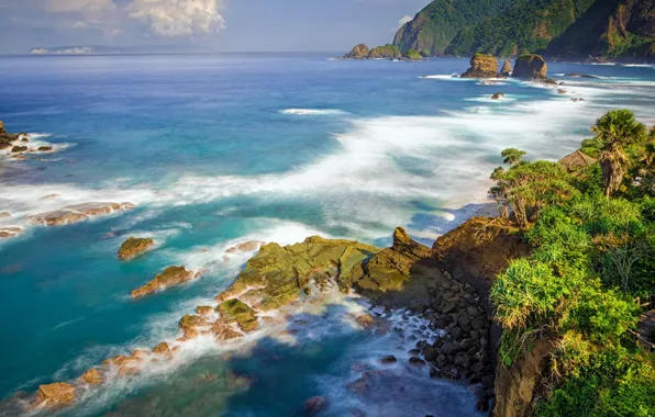 Picture sea, summer, nature, rocks