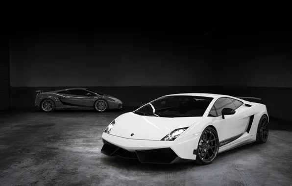 Picture white, grey, background, tuning, Lamborghini, supercar, Gallardo, twilight