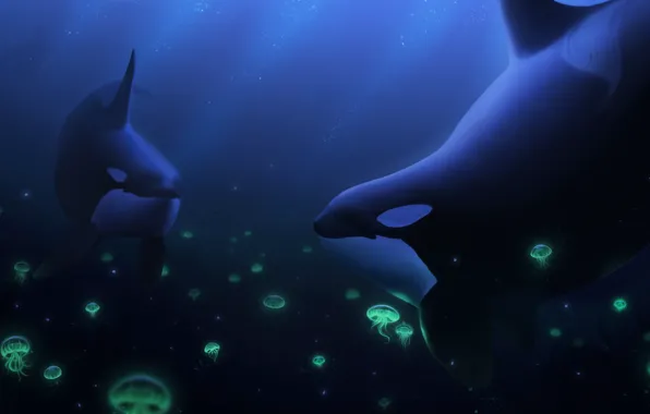 Jellyfish, under water, orcas, by Ciorano