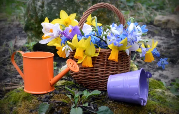Basket, spring, lake, primrose, Krokus, snowdrop, Narcissus, bucket
