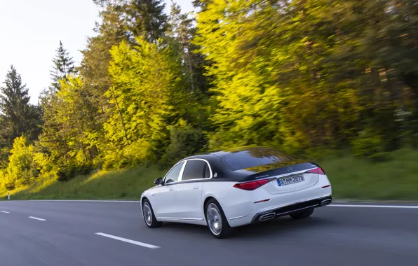 Picture Mercedes-Benz, Mercedes, Maybach, S-Class, rear view, Mercedes-Maybach S 680