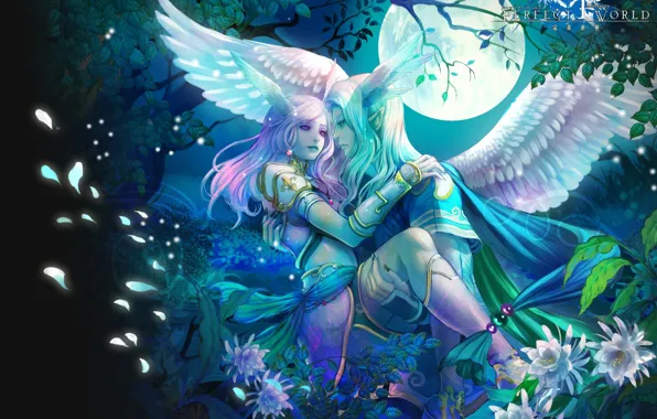 Night, wings, elves, perfect world