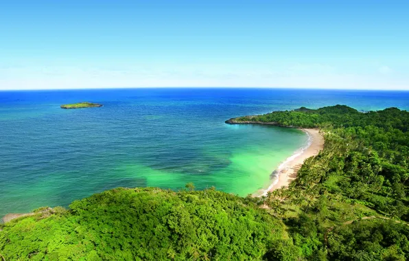 Picture Islands, palm trees, the ocean, horizon