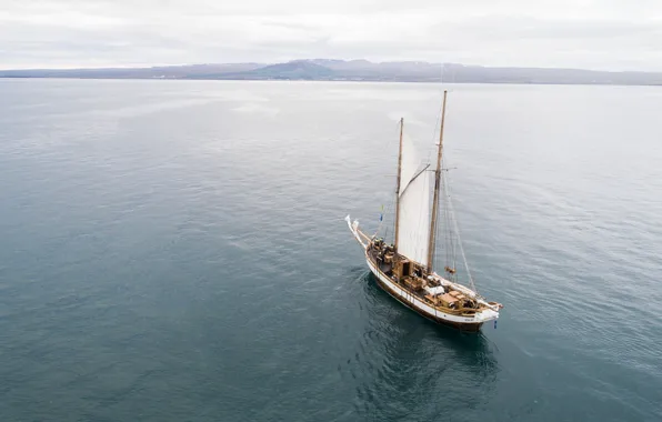 The ocean, coast, ship, sailboat, top, sails, the crew, Schooner Hildur