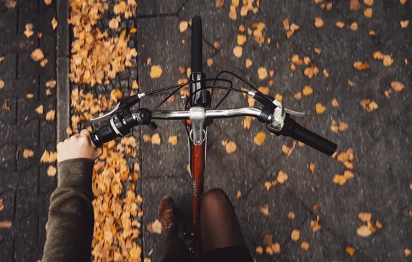 Autumn, girl, bike, pavers, Rona Keller