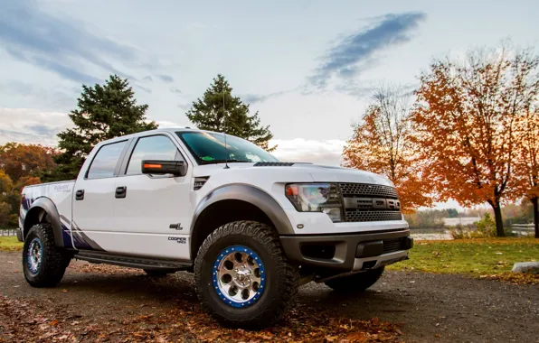 Picture machine, the sky, trees, Ford, sky, F-150, SVT Raptor, Roush