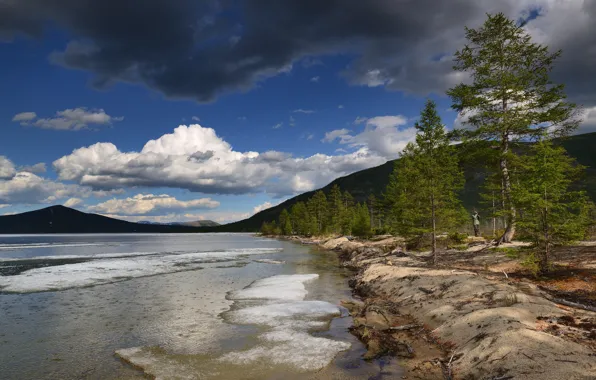 Forest, the sky, clouds, trees, mountains, blue, hills, shore