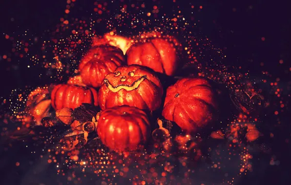 Darkness, pumpkin, Halloween