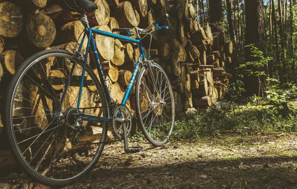 Bike, Wallpaper, logs