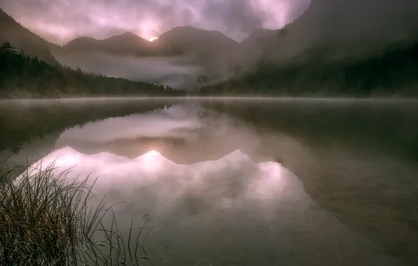 Mountains, fog, lake, dawn, morning, Austria