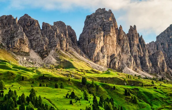 Forest, clouds, mountains, rocks, hills, the slopes, tops, ate