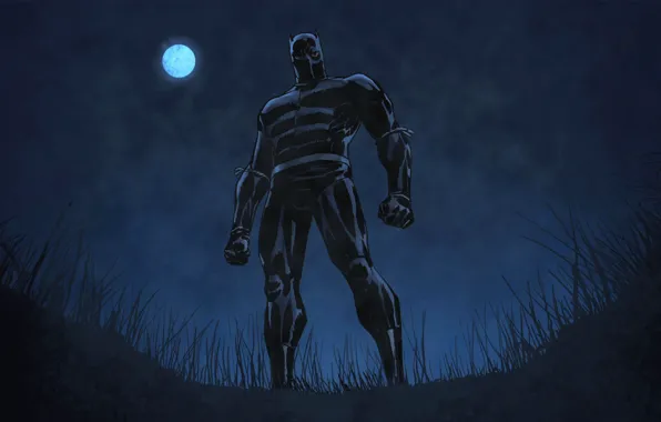 Grass, night, pose, The moon, costume, Marvel Comics, You Challa, Black Panther
