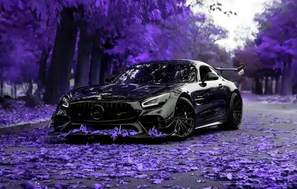 Mercedes, benz, gtr, amg