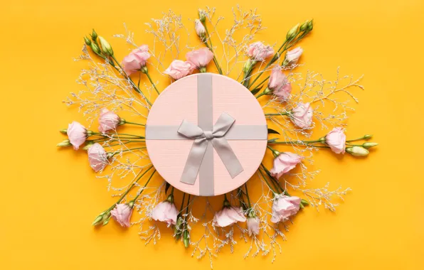 Flowers, yellow, background, holiday, box, gift, stems, color