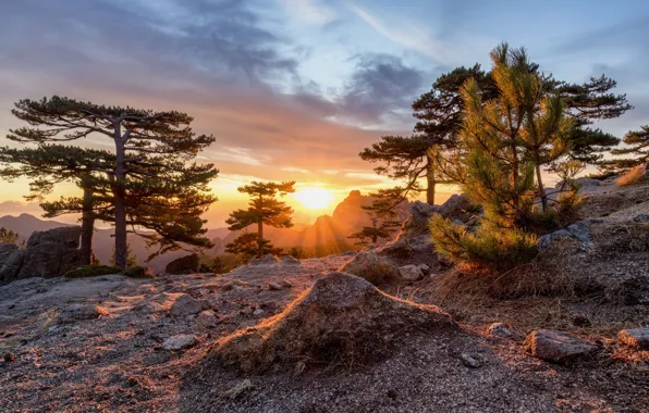 Picture sunset, mountains, nature