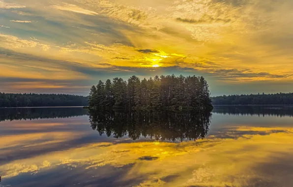 Forest, sunset, nature, lake