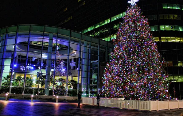 Snowflakes, night, the city, lights, building, tree, window, lights