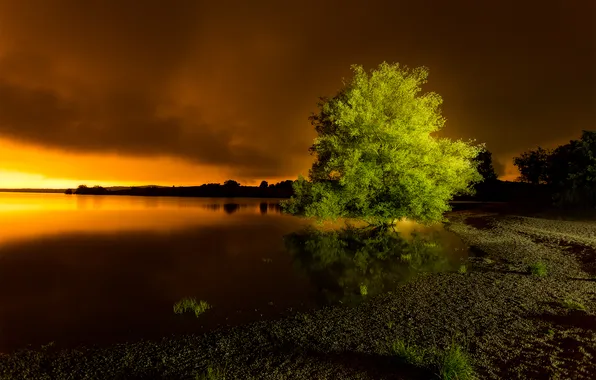 The sky, grass, clouds, light, lake, tree, shore, the evening