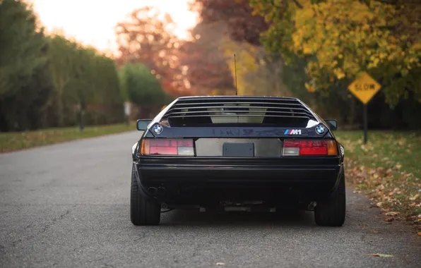 Picture BMW, rear view, BMW M1, dark blue, E26, M1