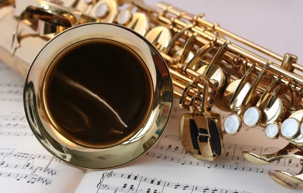 Music, tool, gold, note, music, Saxophone, sheet music, instrument