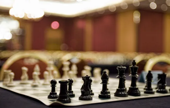 Sport, the game, chess, chess