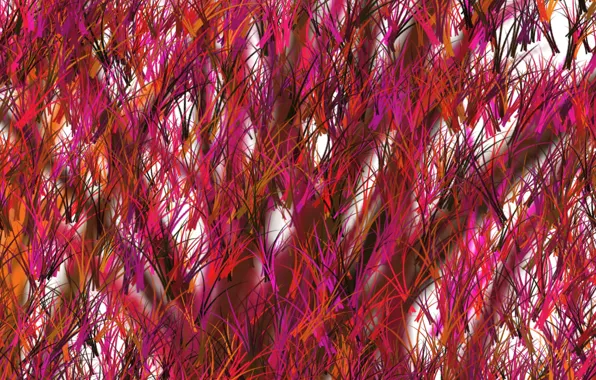 Abstraction, Texture, different