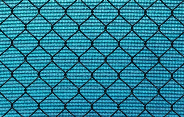 Picture texture, netting, mesh, background