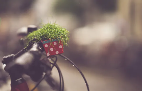 Bike, rain, call, bokeh, drops