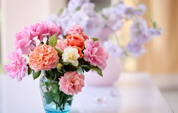 Picture water, flowers, orange, pink, bouquet, vase